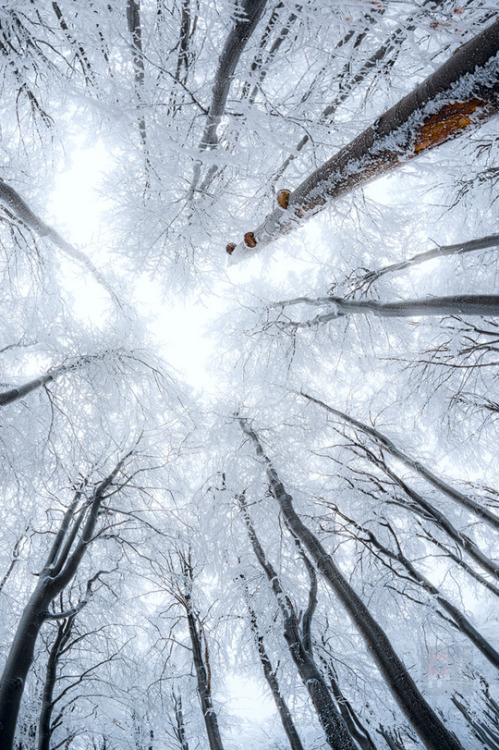 Porn wonderous-world:  Fichtel Mountains, Bavaria, photos