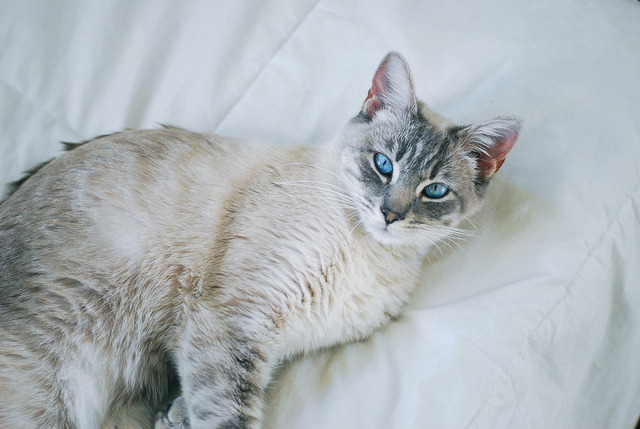 arcsenciel:  _____ by hannahlula. on Flickr. 