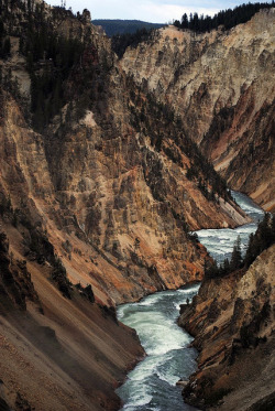 eartheld:  brutalgeneration:  yellowstone