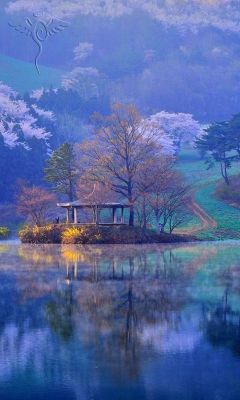 travelgurus:                                 Choongnam Seosan, South Korea                Travel Gurus - Follow for more Nature Photographies!   