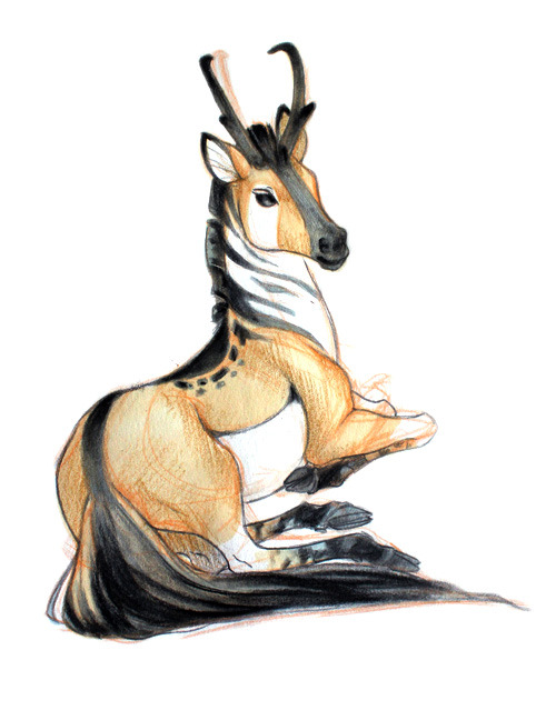 speedo-trolls:  alittledeer:  rozenn-blog:  Vous les connaissez déjà, mais les voici en grande taille ! ^^  THIS IS LIKE…. A PRONGHORN ZEBRA UNICORN IM SO HERE FOR THIS OMG  I 