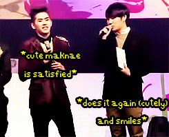 hoho ahjumma