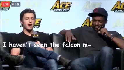 teawithbucky