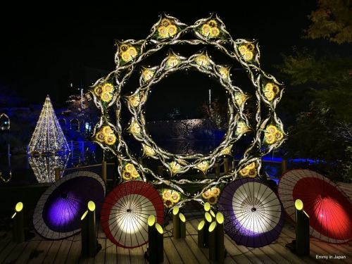 Princess Kaguya's Glowing Garden In Sakuramachi Kumamoto (かぐや姫の光る庭)