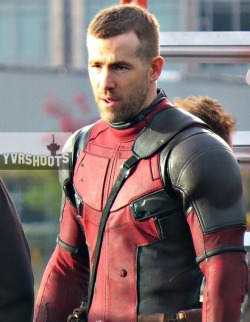 sergeantsexface:  mutant-101:  Ryan Reynolds