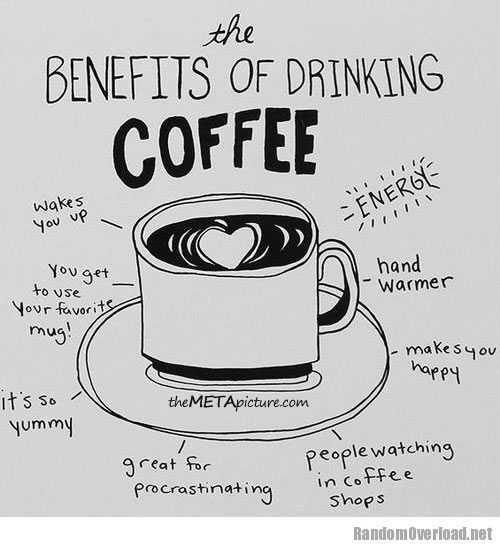 Your Coffee Guru