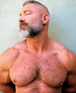 nipandmusclepig:  hi dad