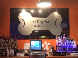 pullet:  IM AT A F*CKING DOG BAR! 