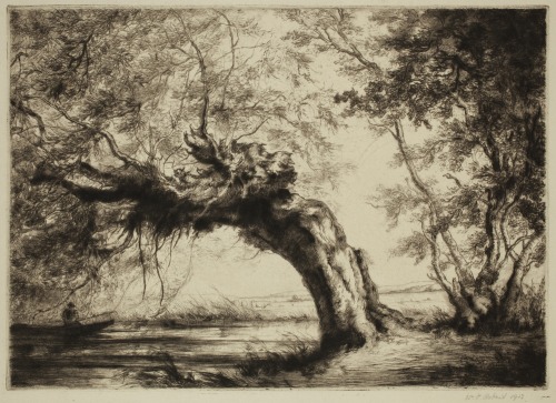 geritsel:William Palmer Robins - An Old Willow, drypoint and etching, 1913
