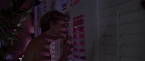 Cape Fear (Martin Scorsese, 1991)