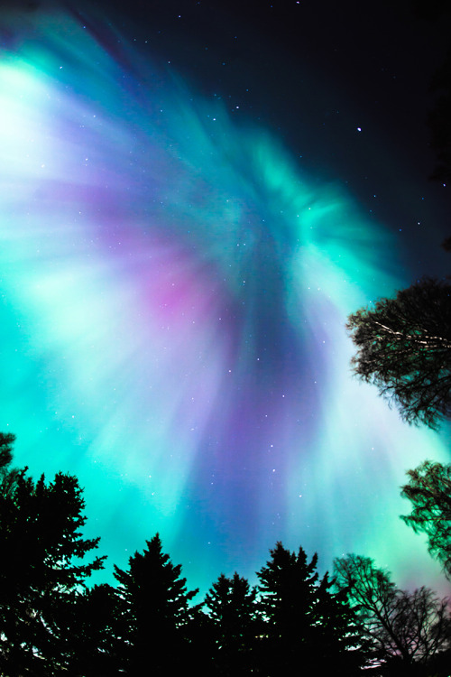 madishy: Northern lights by Teemu Lautamies