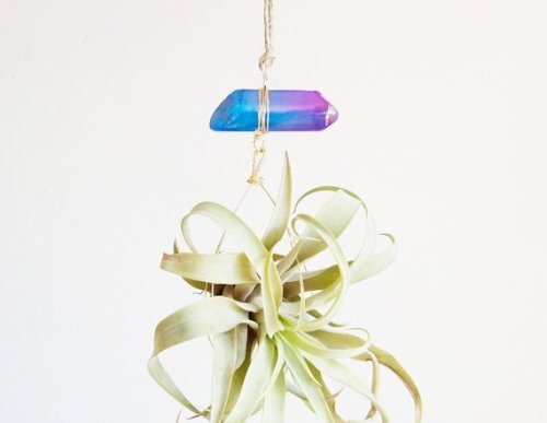 Crystal Hanging Planter //FalconandFinch