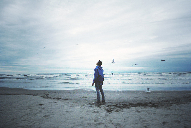 moanarch:  untitled by jason laucker on Flickr. 