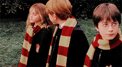 Harry Potter Daily