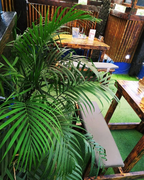 lecklect:Plants are friends.(at Main Deck Restaurant and Bar)https://www.instagram.com/p/B3btUj1JObN