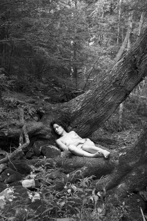 micah-fox:Forrest Nap by Micah Fox, 2012.  