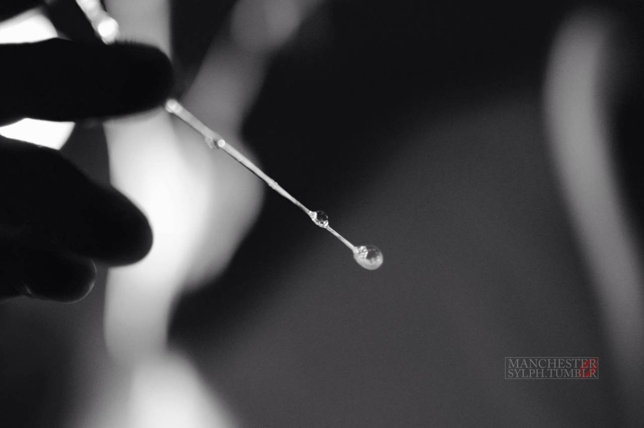 manchestersylph:The Sylph No. 310 - Juicy…and wet :-) for Wednesday!!Sylph x*Please
