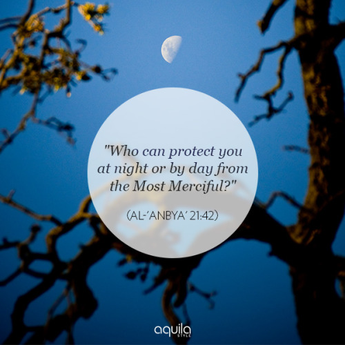 For more verses to reflect on, check out our Qur'anic wisdom series here >> http://www.aquila-