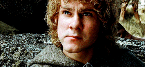 marthaskane: Merry Brandybuck in The Lord Of The Rings: The Return Of The King (2003)