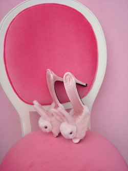 pumpkinspicedslut:  @trustaslut okay but bunny shoes