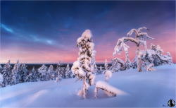 lanatura:  Sunset in Finland by Nicholas Roemmelt  