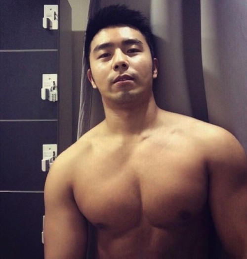 getstiffy:asianmuscleholic:chadyu:マッチョ베어싫은데 얘는 묘하게 좋네…可愛い