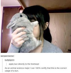 advice-animal:  Correct usage of a bunnyadvice-animal.tumblr.com 