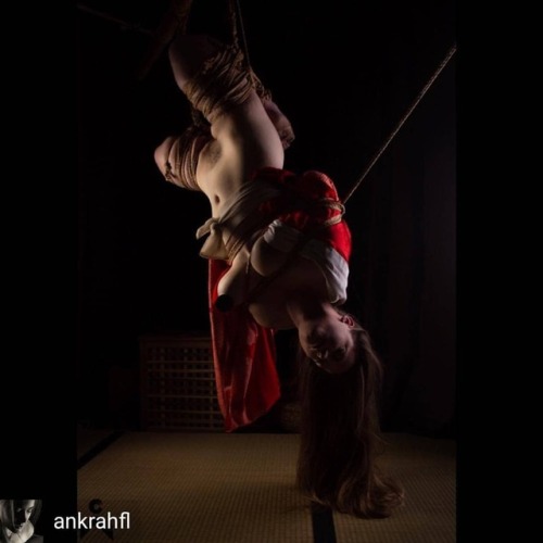 @ankrahfl Suspension bound. Rope by @wykd_dave and Photography by #shibariart #kinbaku #art #alterna