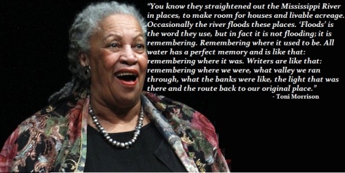 thepeoplesrecord:  February 18, 2013, we celebrate the birthdays of Audre Lorde (1934-1992) & Toni Morrison (1931- )! ♥ “It is not our differences that divide us. It is our inability to recognize, accept, and celebrate those differences.” ―