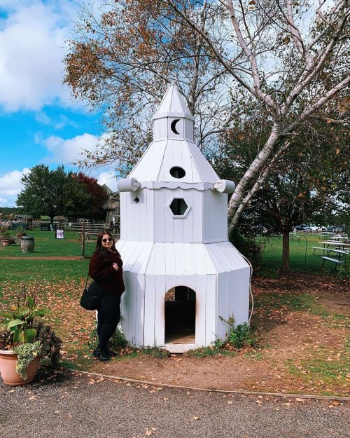 I’m just going to move into this little witch hut ‍♀️