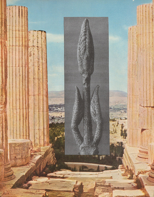 brandistrickland:  Pages 4 (from the plant &amp; mineral medicine book) collage