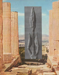 brandistrickland:  Pages 4 (from the plant &amp; mineral medicine book) collage on book page, apx. 8x10&quot;, 2012