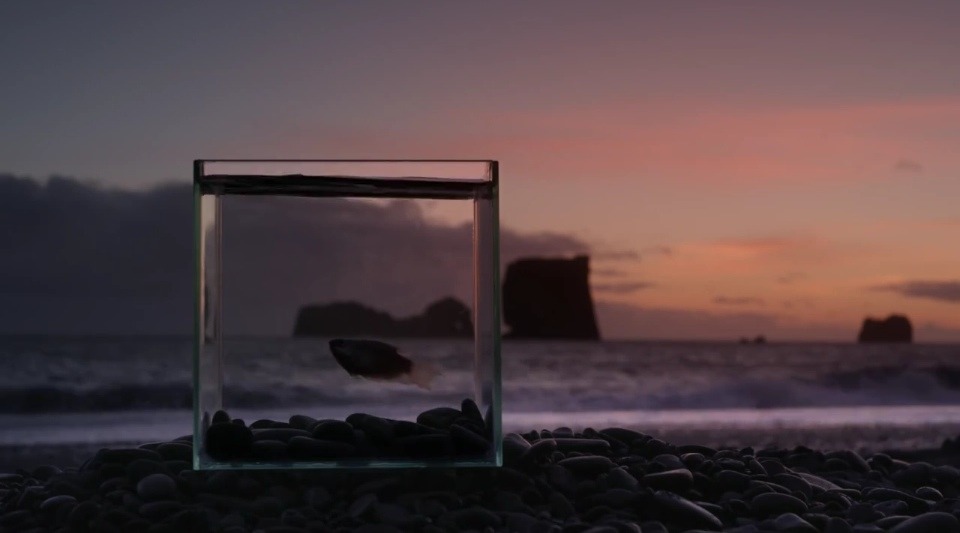 zukodoesbjj:  a collection of screenshots from fountain by iamamiwhoami (aka my favourite