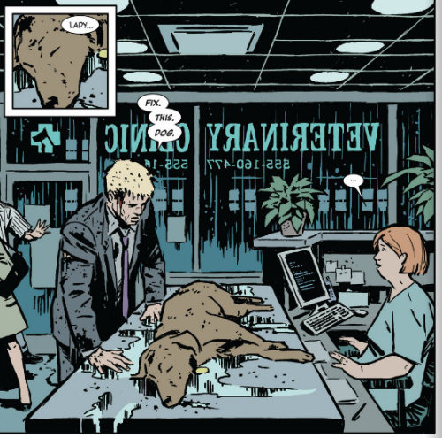 cuteandcubed: misterdiddums: First Post of 2014: A Man and His Dog.  I love the Hawkeye comics-