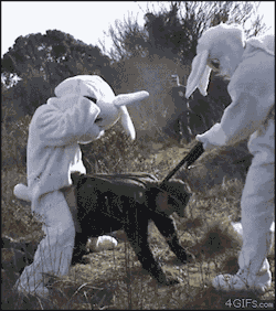 danielhashtagyolo:  Hunting gone wrong. Follow for more awesome pics and gifs :) Here