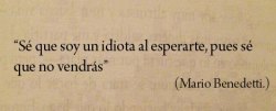 sarah-abd:   Sucede que ésta frase va a ser eco en mi ser por mucho tiempo, inevitablemente. 