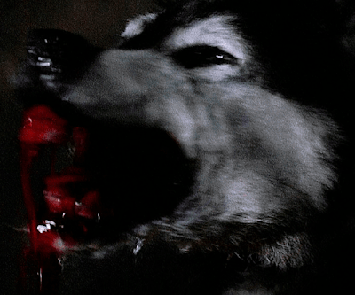 societyclub:THE THING (1982) dir. John Carpenter