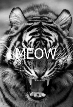 teenagepics:   If you’re a teen you must follow this blog.