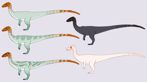 Meet the Paleo Pines Coelophysis! Coelophysis is a swift and flighty companion dino which are notori