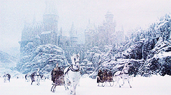 primrosepins:        I hope you all are having a lovely holiday! x       