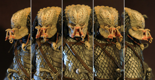 treasuretoybox:  Predator 2 : Elder Predator (NECA)  