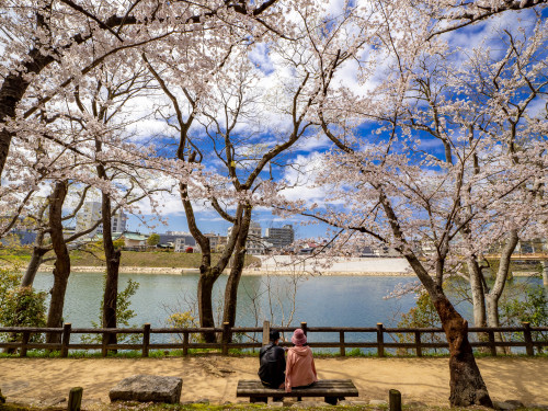 桜の園