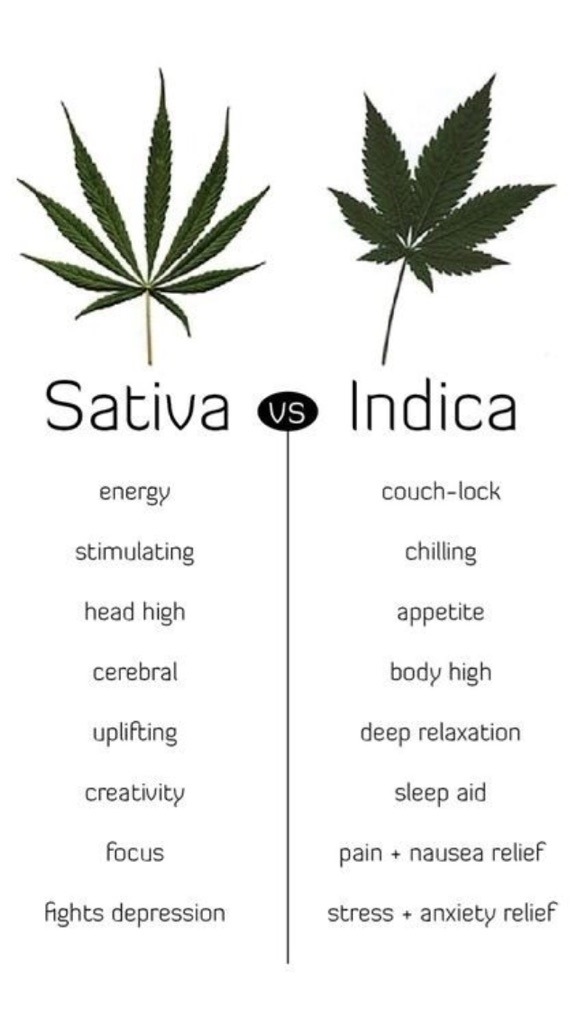 Different weed strains