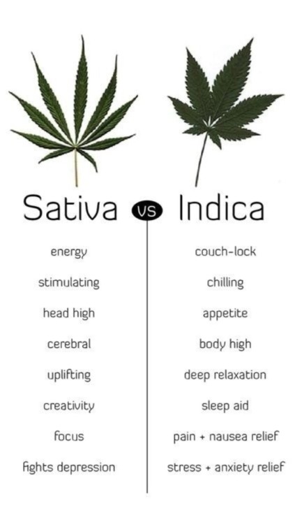 reddlr-trees: Just good to know for fellow ents