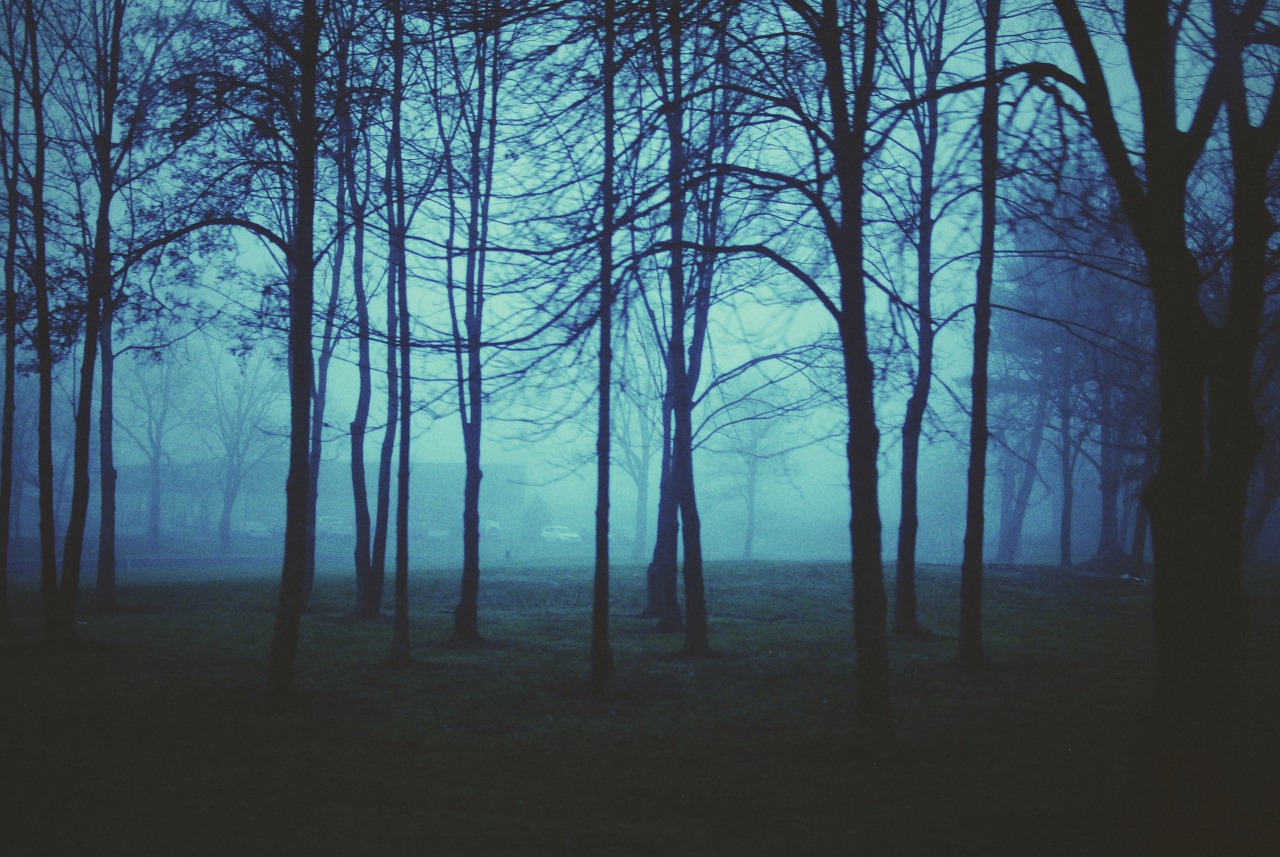 814stops: foggy towns somewhere between exton and doylestown, pa 2015 