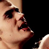 vampires-liars-and-pretty-faces:  TVD is coming. 
