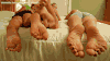 solesandtoes: