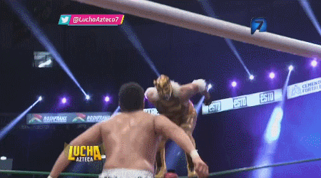 awesomebutternuggets:  Lucha Libre Elite - Lucha Azteca - July 28 2016Rocky Lobo & Ronnie Mendoza vsLa Dinastia Casas (Puma & Tiger) 