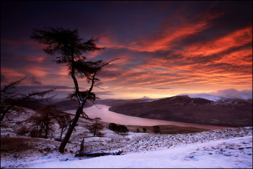 Loch Tay Dawn by angus clyne on Flickr.