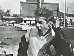 babeimgonnaleaveu:   James Dean photographed